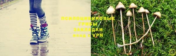 крисы Богданович