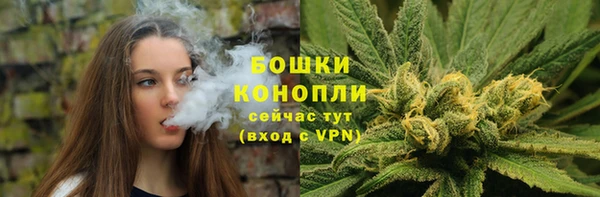 трава Верея