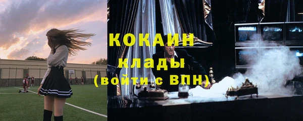 трава Верея