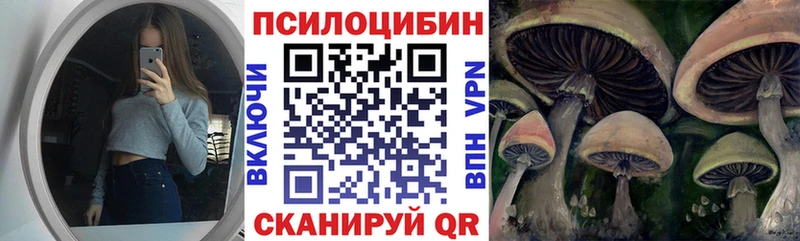 дарнет шоп  Каменка  Галлюциногенные грибы Magic Shrooms 
